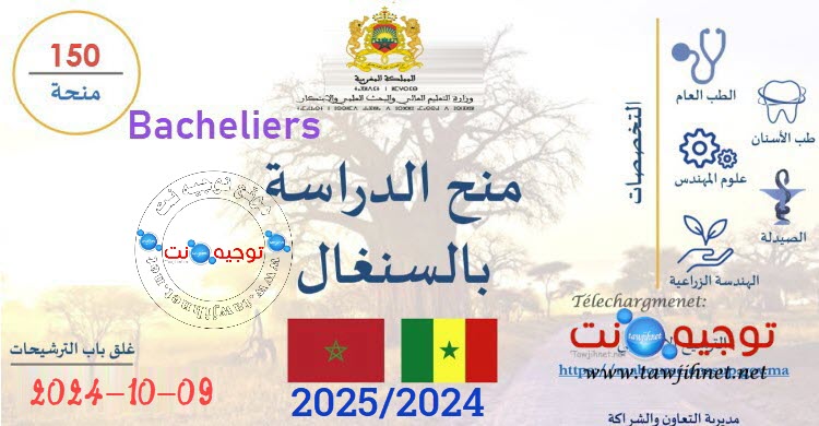 bourse-senegal-2024-2025.jpg